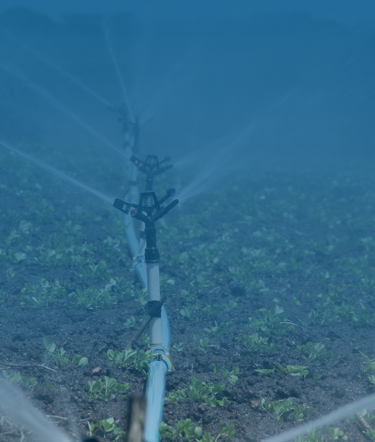 2026土壤快速檢測(cè)儀十大TOP廠(chǎng)家選型指南云唐品牌高精度高穩(wěn)定設(shè)備廠(chǎng)家實(shí)力推薦