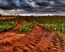 土壤養(yǎng)分分析儀對(duì)土壤有什么作用？